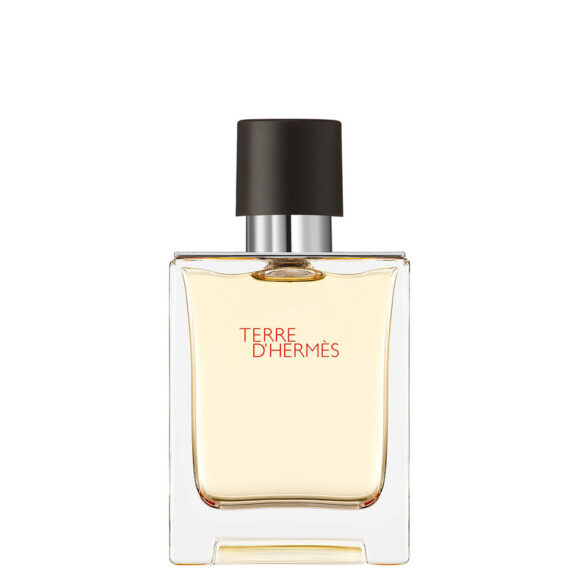 Hermes Terre d'Hermes 100ML Erkek EDT