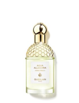 Guerlain Aqua Allegoria Herba Fresca 75ML Kadın EDT
