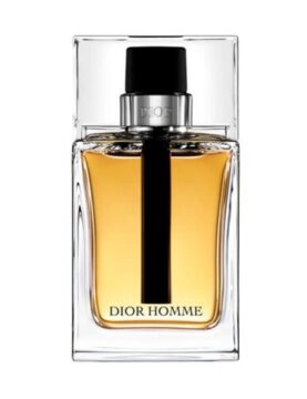 Christian Dior Homme 100ML Erkek EDT