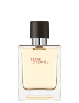 Hermes Terre d'Hermes 100ML Erkek EDT